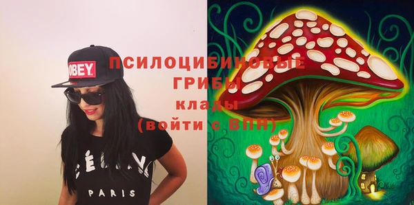 прущие крисы Арсеньев